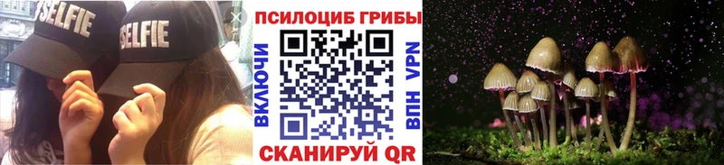 Псилоцибиновые грибы мицелий  Каневская 